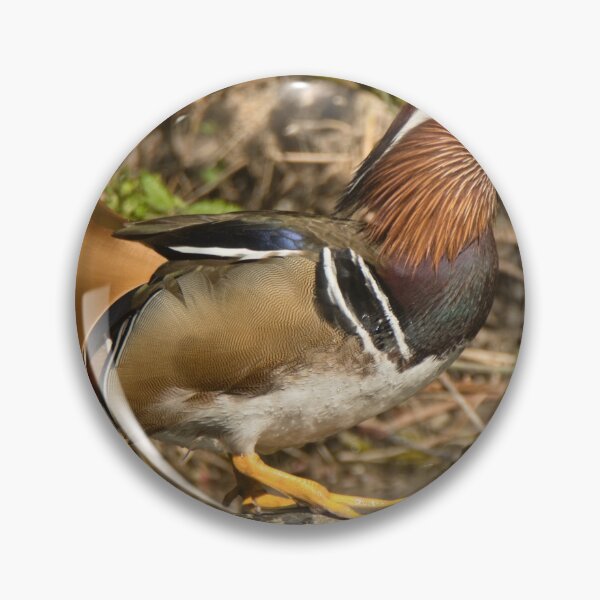 Item preview, Mandarin Duck designed and sold by Derren Jones.