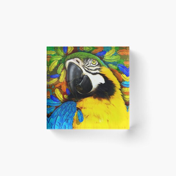 Gold and Blue Macaw Parrot Fantasy Acrylic Block