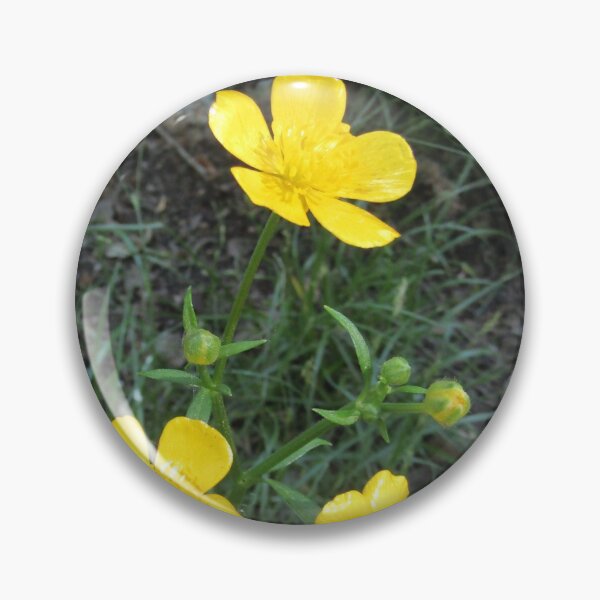 Item preview, some more buttercups designed and sold by joshuarainbird.