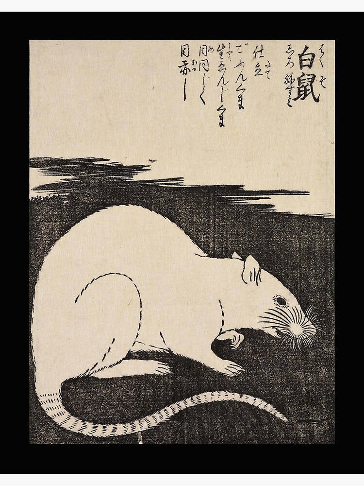 japanese rat painting