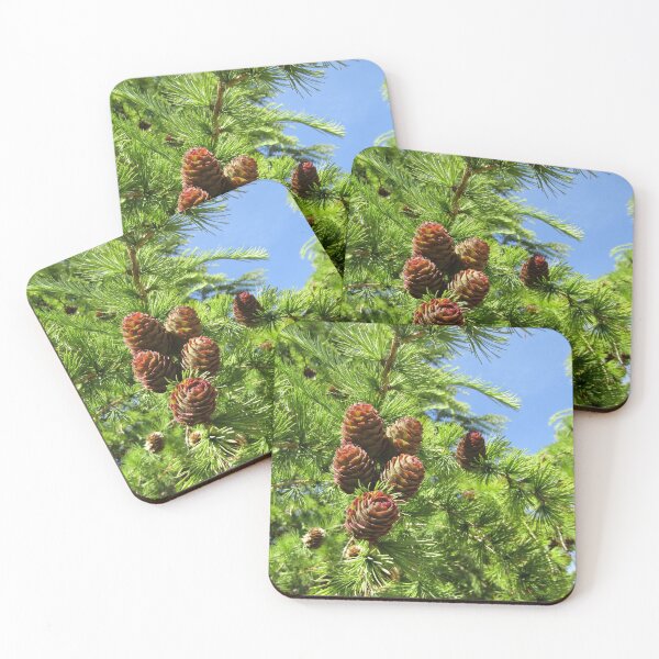 Item preview, spring fir cones designed and sold by joshuarainbird.