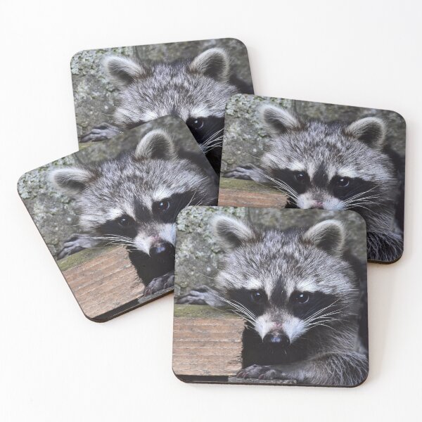 Item preview, Little raccoon designed and sold by Glineur.