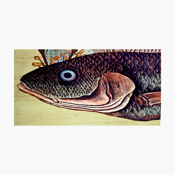 Item preview, Sea Bass Placemat (view larger) designed and sold by phil decocco.