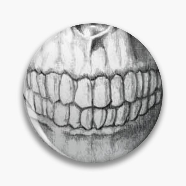 Item preview.