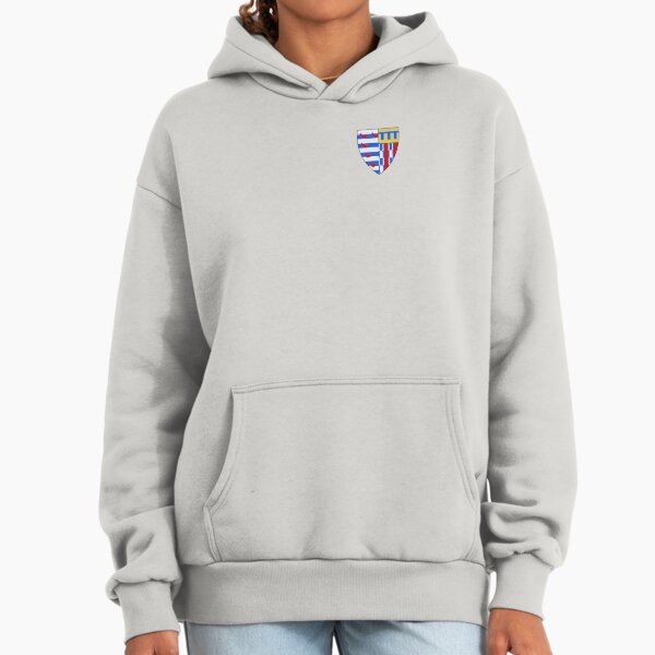 Pull à Capuche Warwick University – Homme – Bleu – Coton – Taille M – Très Bon état