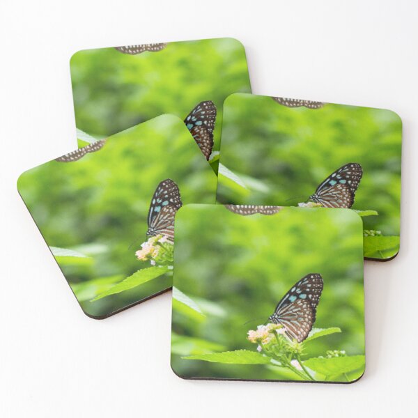 Item preview, Search food designed and sold by Aremanda KIRAN.