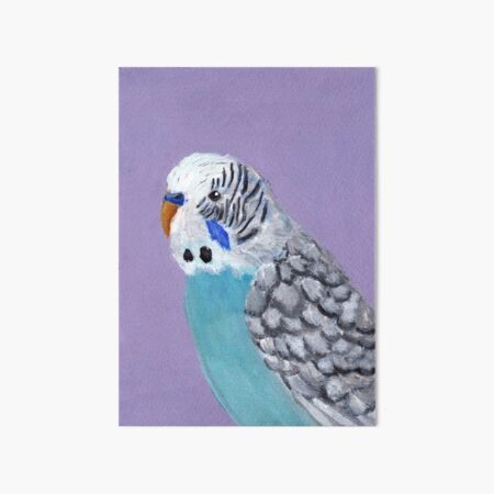 sky blue parakeet