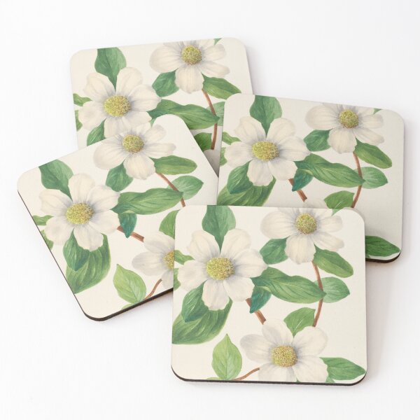 Item preview, Pacific Dogwood Vintage Botanical Print, Mary Vaux Walcott designed and sold by Vintage Wall Art.