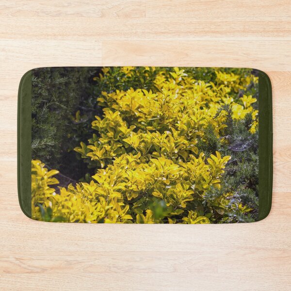 Item preview, Golden euonymus shrub designed and sold by lena-maximova.
