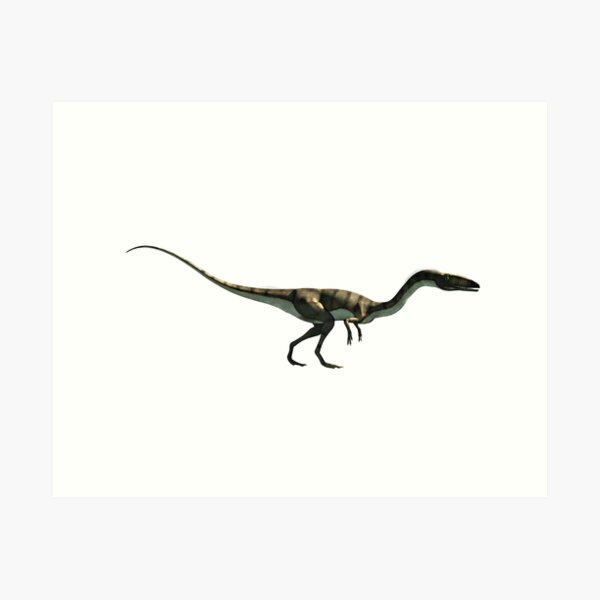 Item preview, Coelophysis designed and sold by Daniel Eskridge.