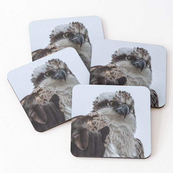 Item preview, Osprey designed and sold by penra.