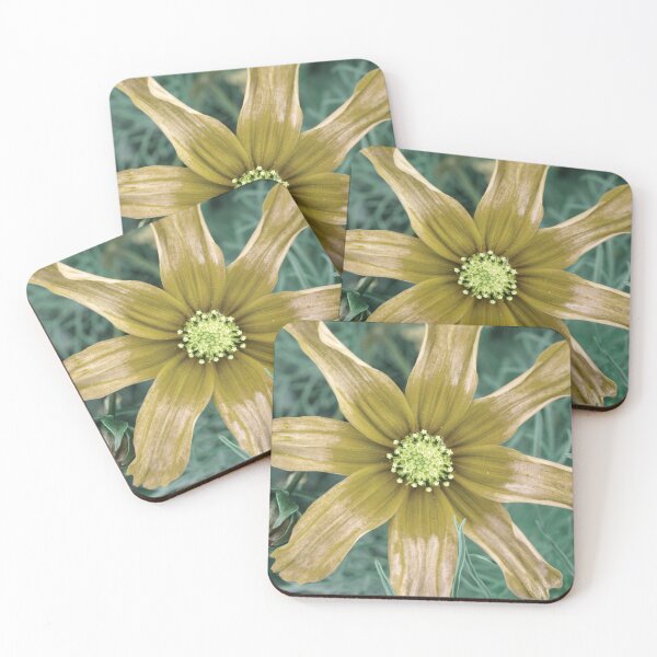 Sunstar Coasters (Set of 4)