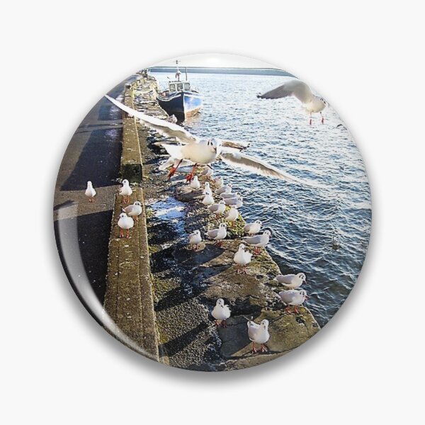 Item preview, Seagulls Galway City Ireland designed and sold by Thispoeticlife.