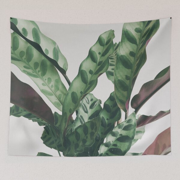 Item preview, Pattern designed and sold by Cassia Beck.