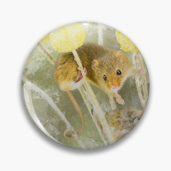 Item preview, Harvest Mouse Watercolour Photograph. designed and sold by Jane Stanley Photography.