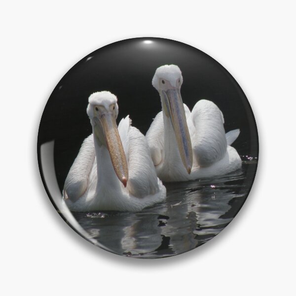 Item preview, Pair of Pelicans Photograph designed and sold by naturegallery.