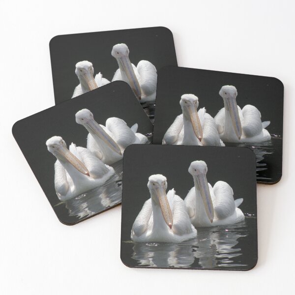 Item preview, Pair of Pelicans Photograph designed and sold by naturegallery.