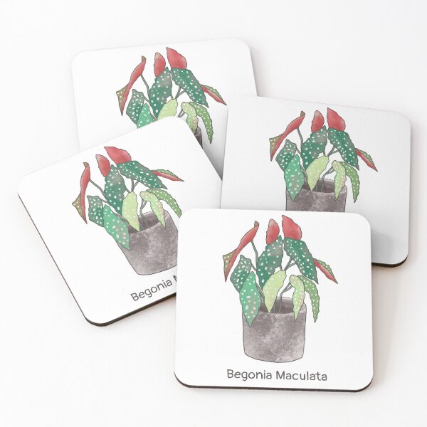 Item preview, Begonia Maculata with label designed and sold by tomkaanna.