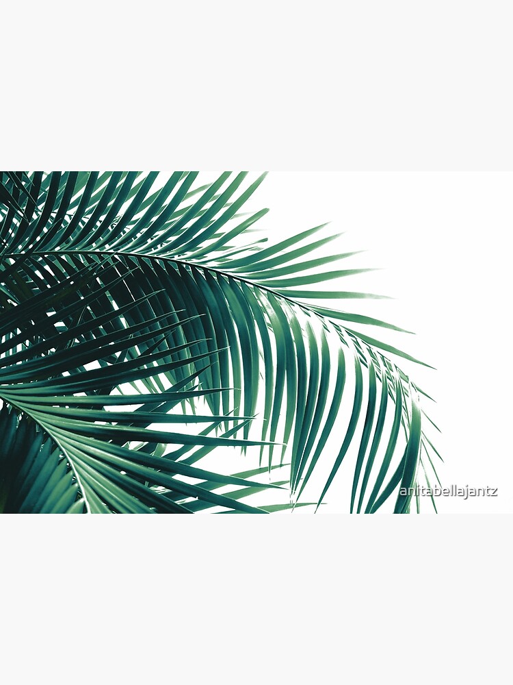Palm Leaves Green Vibes #6 #tropical #decor #art by anitabellajantz