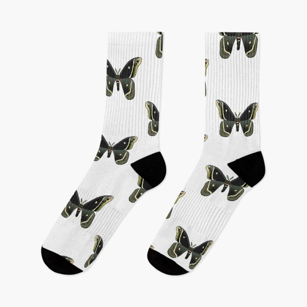 Item preview, Eupackardia Celleta Black Saturn moth designed and sold by Oleander Schweiger.