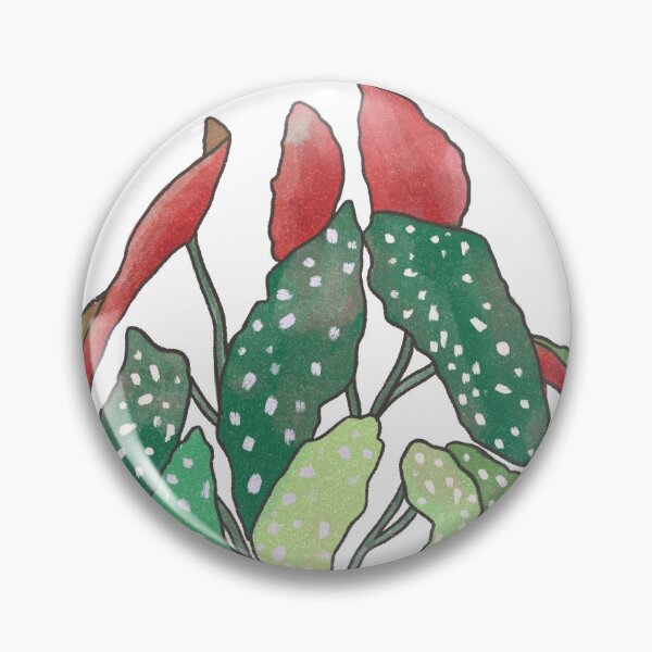 Item preview, Begonia Maculata designed and sold by tomkaanna.