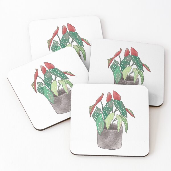 Item preview, Begonia Maculata designed and sold by tomkaanna.