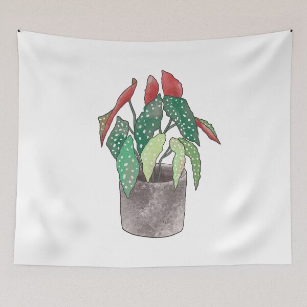 Item preview, Begonia Maculata designed and sold by tomkaanna.