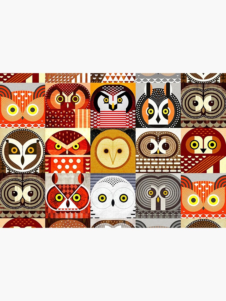 North American Owls by scottpartridge