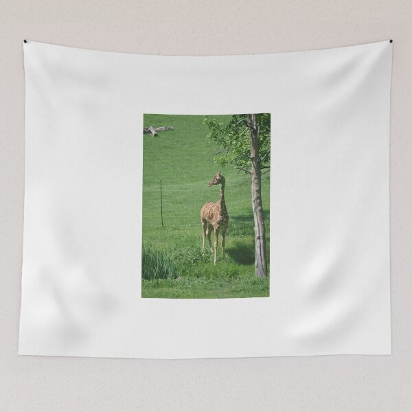 Item preview, Young Giraffe designed and sold by Tamara McDonnell.