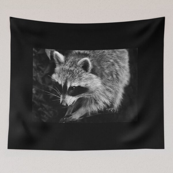 Item preview, Cute raccoon designed and sold by Glineur.