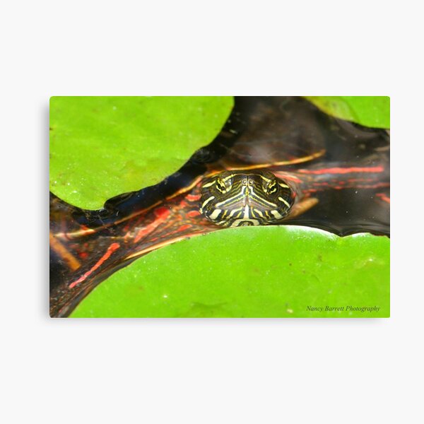 Funny Face Canvas Print