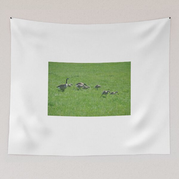 Item preview, Family of Geese designed and sold by Tamara McDonnell.