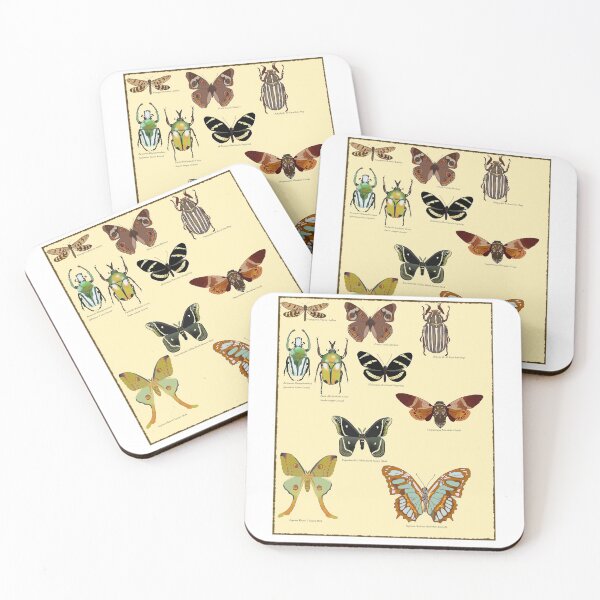 Item preview, Drawn vintage bug print designed and sold by Oleander Schweiger.