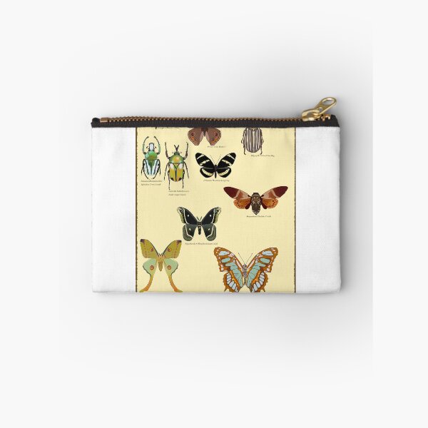 Item preview, Drawn vintage bug print designed and sold by Oleander Schweiger.