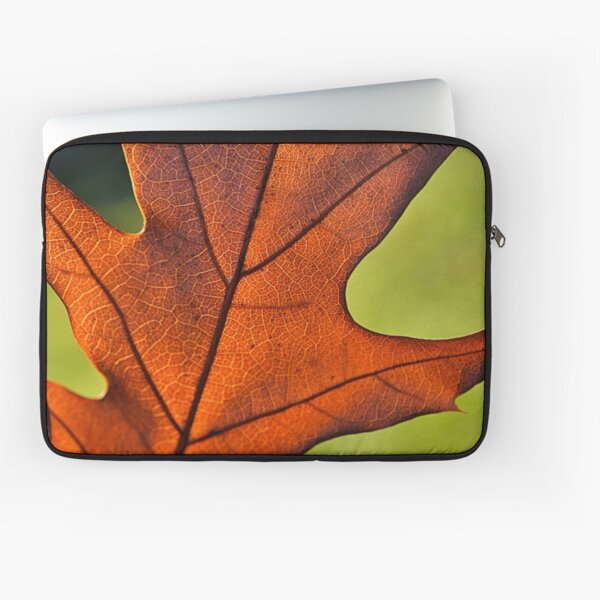 Laptop Sleeve