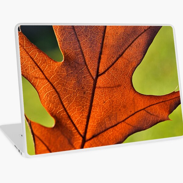 Macbook Air 13" (2015)