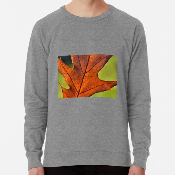 Lightweight Sweatshirt
