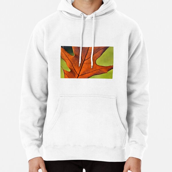 Hoodie (Pullover)