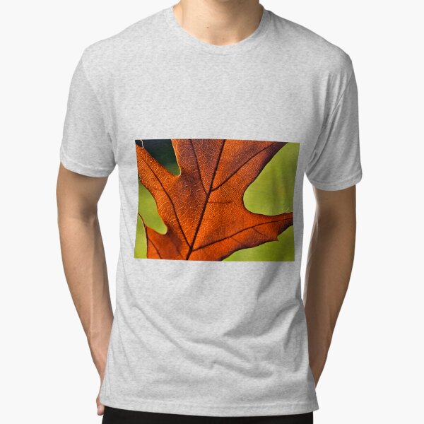 Tri-blend T-Shirt