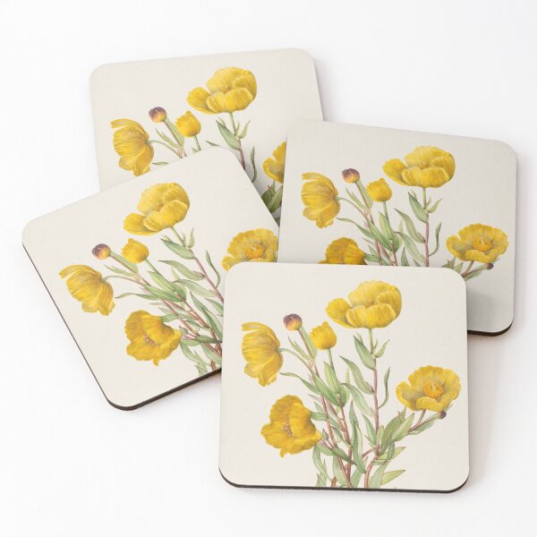 Item preview, Bush Poppy Vintage Botanical Print, Mary Vaux Walcott designed and sold by Vintage Wall Art.