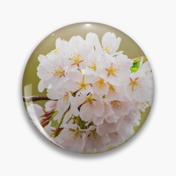Item preview, Cherry Blossom Tree Branch designed and sold by bittervictory.