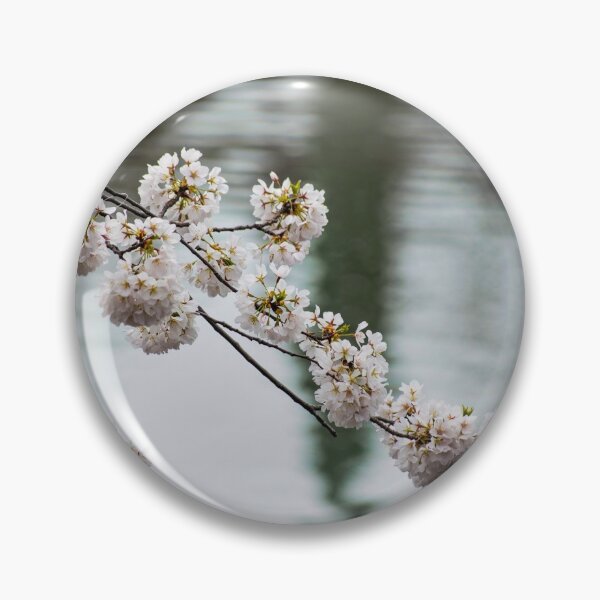 Item preview, Cherry Blossoms over the Water designed and sold by bittervictory.