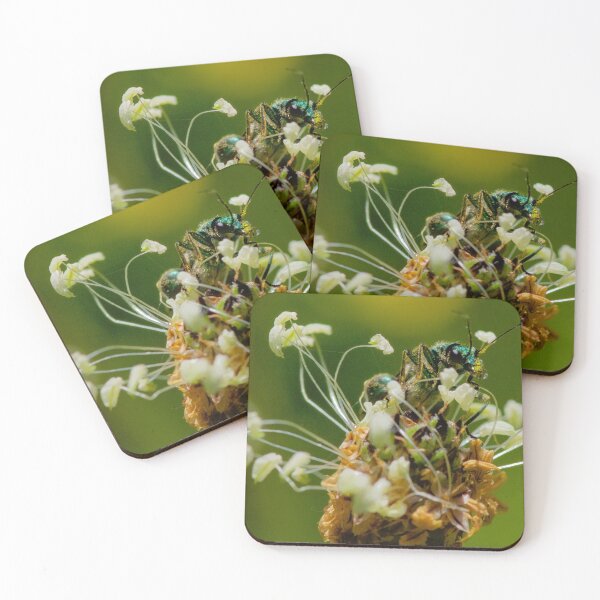 Item preview, HIGH ON GRASS ! designed and sold by NICK COBURN PHILLIPS.