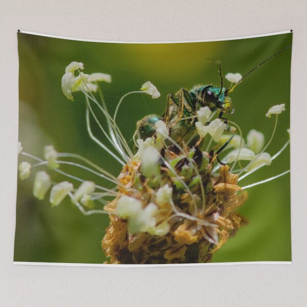 Item preview, HIGH ON GRASS ! designed and sold by NICK COBURN PHILLIPS.