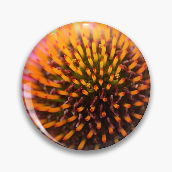 Item preview, Echinacea purpurea  Primadonna  Pink flowered  Cone flower designed and sold by Chris Burrows.
