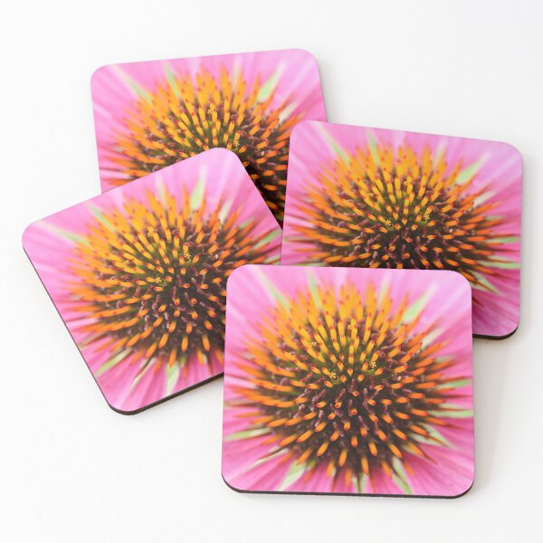 Item preview, Echinacea purpurea  Primadonna  Pink flowered  Cone flower designed and sold by Chris Burrows.