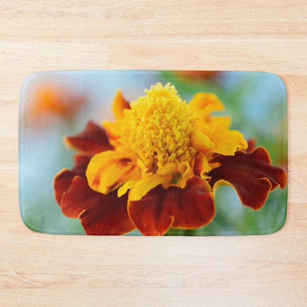 Item preview, Tagetes patula  'Mowgli Bicolour'  Dwarf French marigold designed and sold by Chris Burrows.