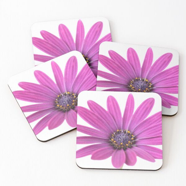 Item preview, Osteospermum  'Sunny Mary'  African Daisy  Sunny Series  designed and sold by Chris Burrows.