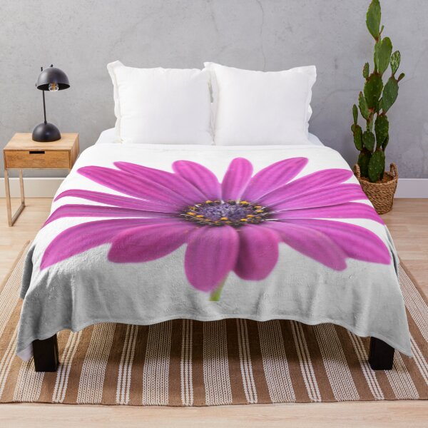 Item preview, Osteospermum  'Sunny Mary'  African Daisy  Sunny Series  designed and sold by Chris Burrows.