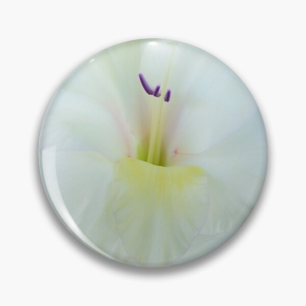 Item preview, Gladiolus  'White Prosperity'  Sword lily  designed and sold by Chris Burrows.